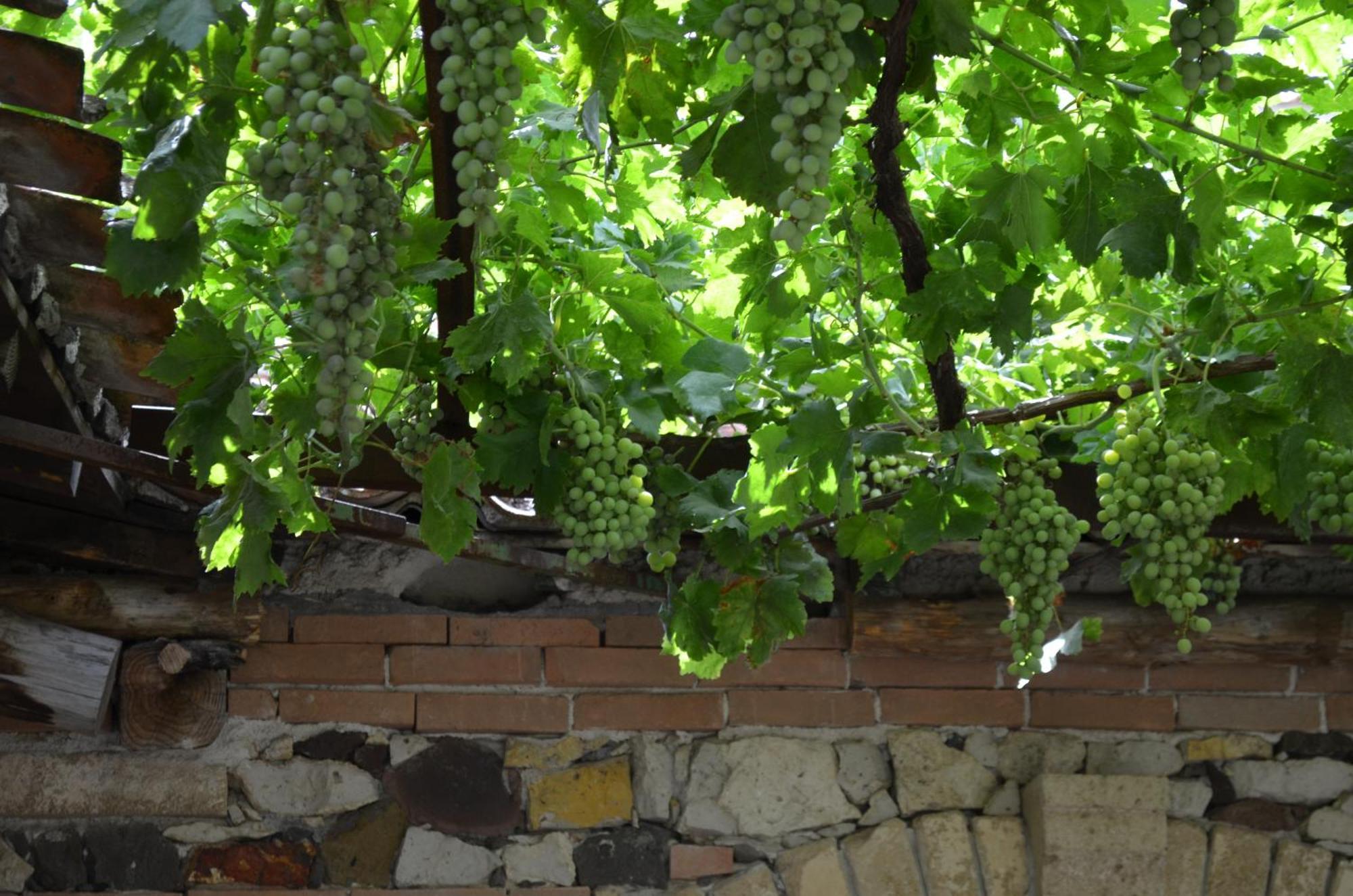 Agriturismo Il Melograno Riola Sardo Exteriör bild