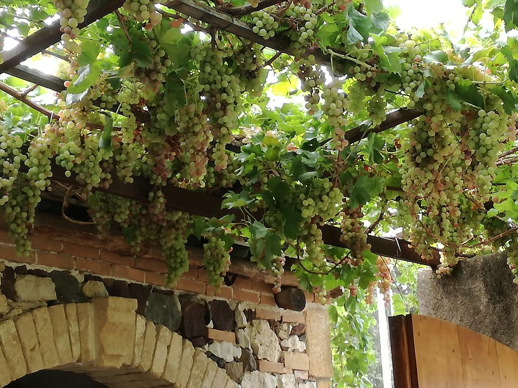Agriturismo Il Melograno Riola Sardo Exteriör bild